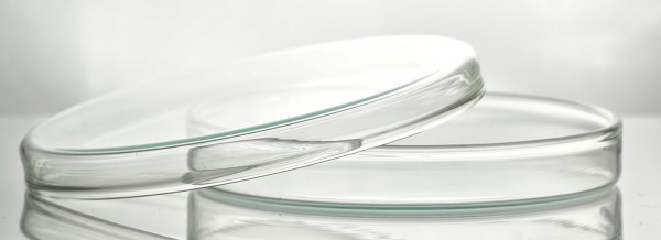 Pertischalen Standard, aus Borosilikatglas